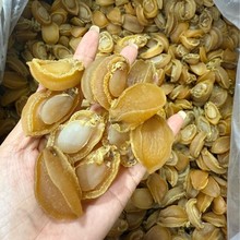 a鲍大连鲍鱼干新鲜淡晒煲汤红焖鲍鱼酒店食材鲍鱼批发50头60头