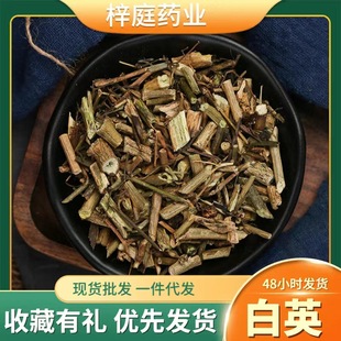 �����r�aƷ��Ӣ ǧ�겻��������Ȫ��ë�ٹ��������L�� ë������l