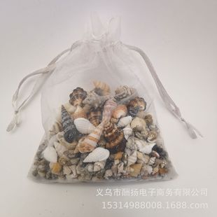 Cross-border hot sale-50g natural conch shell Xiaomi conch DIY drift bottle ocean bottle material fish tank decorations