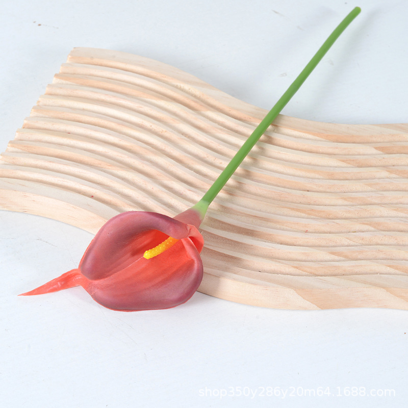 부르고뉴(노란색 코어)