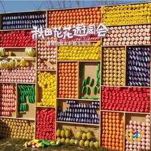 ?ˮ��ģ�ͼ�ˮ���߲˵����㽶�O�����ә�����bWУ�̾�