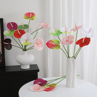 3D��ӡ�t�Ʒ��滨���Q�Ʒ���Gֲ�ٻ��Ҿ��b�c�廨���쾰�羳