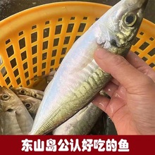 �Bֳ�����~ ���|��ā��֬�S�� �������~�Mœһ�����lֱ����