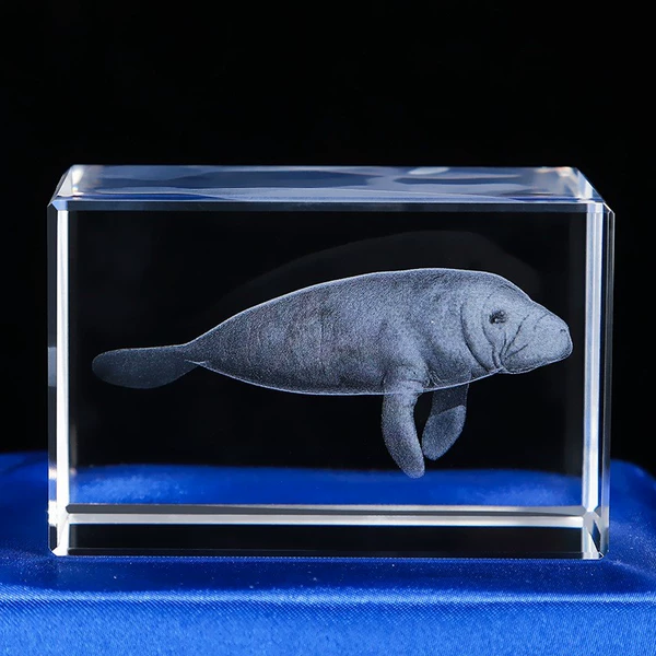 Manatee