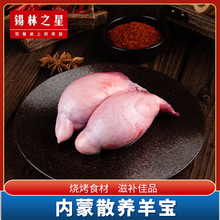 锡林之星内蒙古羊宝羔羊烤串食材羊腰子5斤餐饮批发锡林郭勒烤肉