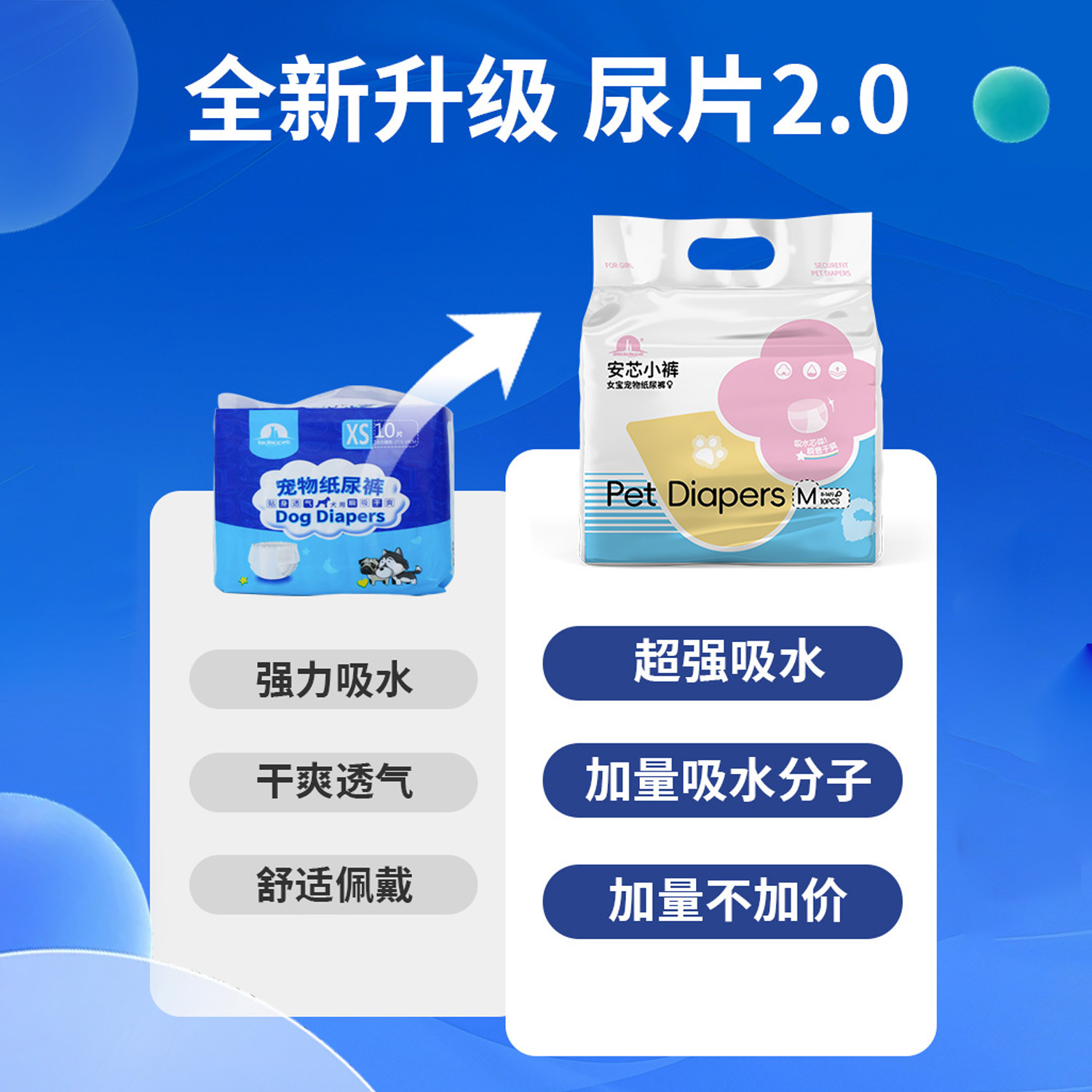 Pañales para mascotas pañales desechables suministros fisiológicos pantalones pañales para perros suministros para mascotas pañales al por mayor
