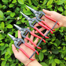 实惠4款高碳钢稀果剪 修枝剪采摘剪园林剪刀园艺剪花木剪修枝剪