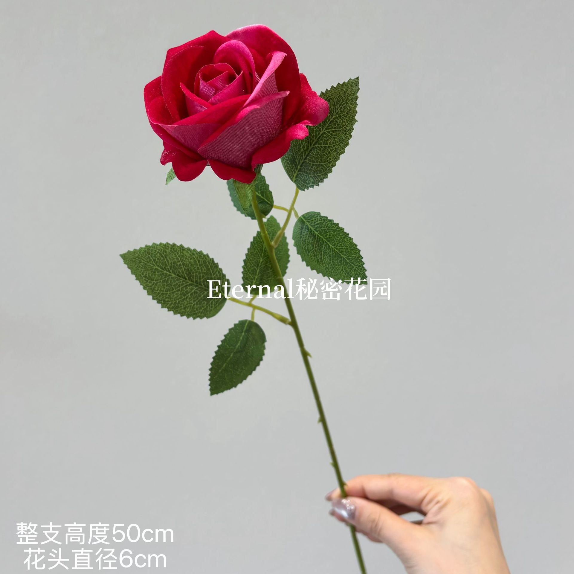 싱글 펄 로즈 플로이드 컬러