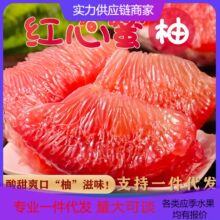 【活动款】红心柚蜜柚新鲜柚子水果大果当季对接电商直播产地直发