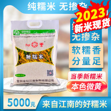 2023新糯米金坛糯米10斤常州香糯米包粽子糯米酒酿白江米圆糯米