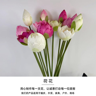 ����ɻ����滨�����Ҿ��b����컨���^���ߔ[���쾰���ٻ����l