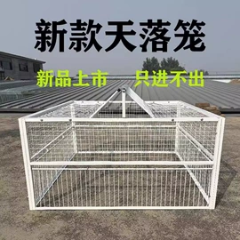 旗帜;灯笼;鸟笼