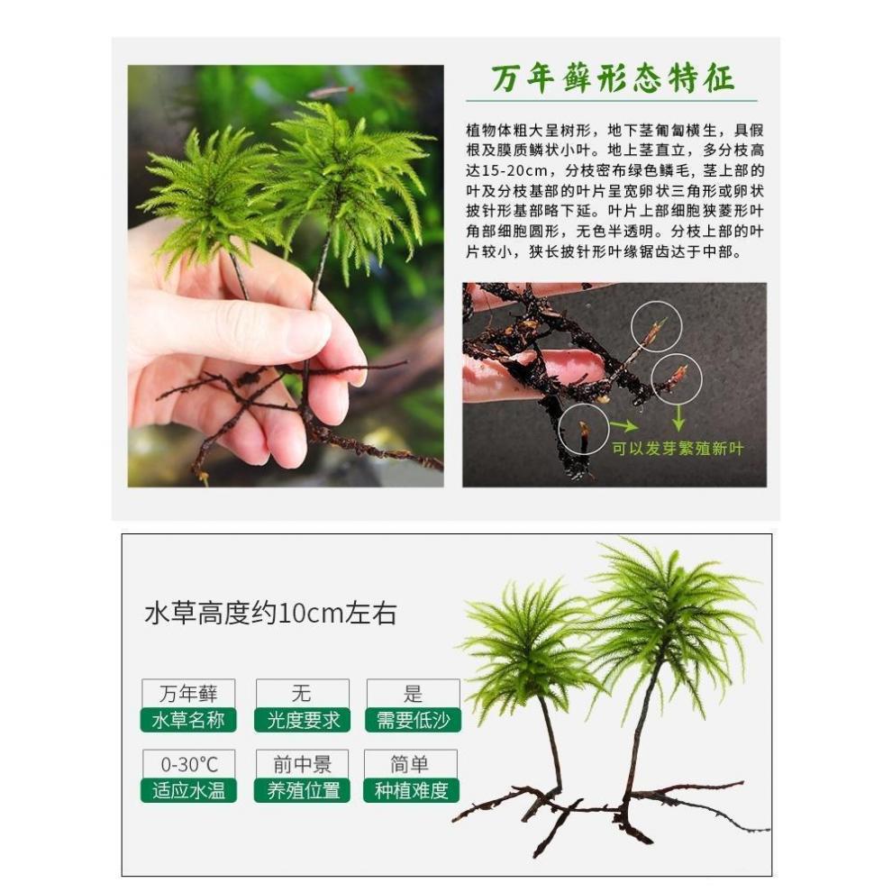 9f8b52d6-fa5e-48ea-a850-e1eedec8a159.jpe