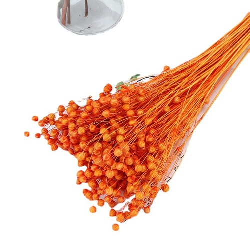 Factory direct supply of Yunnan eternal flower materials, dried flowers, rich bean craft gift materials, DIY flower arrangement materials