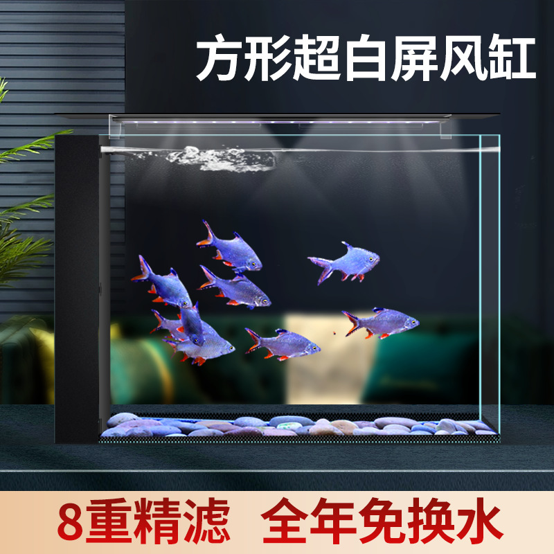 超白色ガラス水槽リビングルームパーティションスクリーンタンクデスクトップ一体型サイドフィルターカスタムメイド水槽強化熱帯魚水槽|undefined