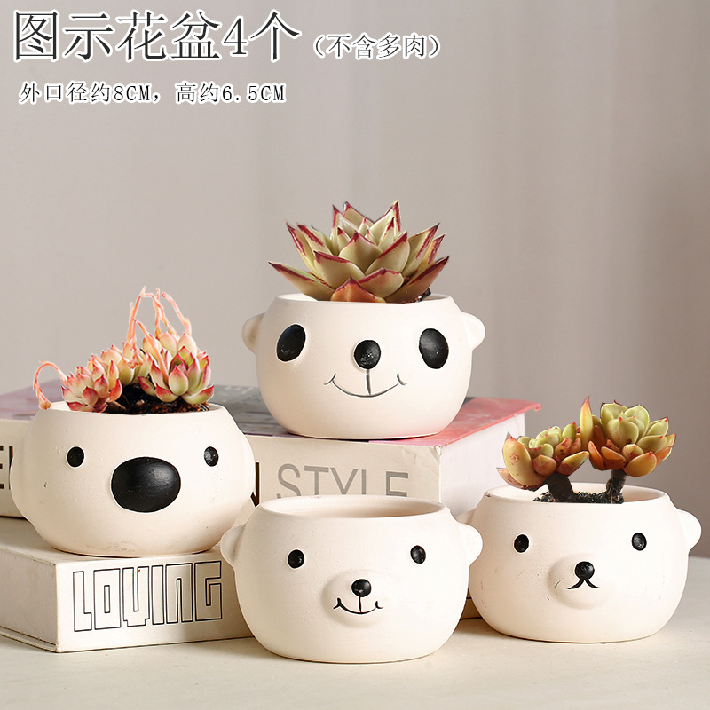 KT 백곰 4마리