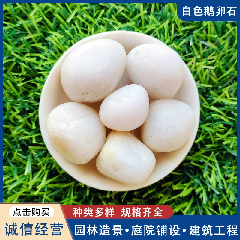 Происхождение прямые волосы белые гальки для садоводства горшечные украшения белые гальки сухие ландшафтные пейзажи