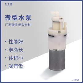 27HPW厂家批发微型水泵液泵食品级饮水机水泵咖啡机小水泵