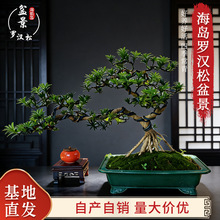 ���T�_�h���辰�����҃�ͥԺ�Gֲ���B�ͻ�ߙn���u�tѿ���Զ�����