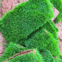 �ؑc��ƺ̨����̖�ؑc��ƺ̨����̖���x��ƺ̨����̖���ϲ�ƺ