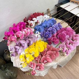 3D�����m���滨�zƬ�ҾӾƵ�羳�鷿�b�c���û��ٻ��ɻ�