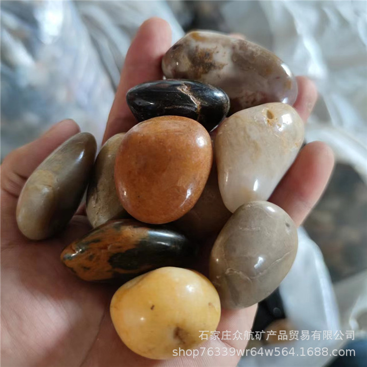 微信图片_20230701111445