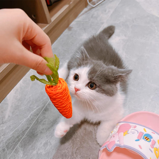 Cat Toy Cute Carrot Bell Cat Stick Kitten Self-relief Bite and Molar Claw of Elvis Presley