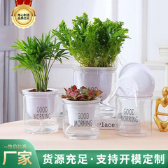 自動吸水植木鉢、グリーンロード、節水、シンプルな透明鉢、花植え、グリーンロード鉢、プラスチック製植木鉢、卸売