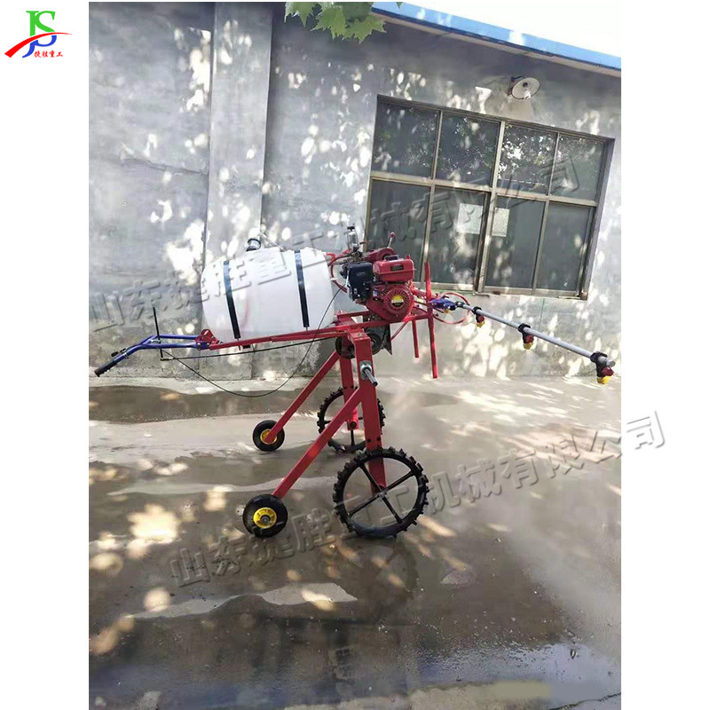 Máquina de pulverización de medicina auto-empujada agrícola, máquina de pulverización de medicina de empuje manual de gasolina, pequeño invernadero, equipo de pulverización de tierras de cultivo