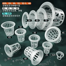 ˮˮ��̶���������ֲ�{���趨ֲ�@�G�}�̶���ֲ��̸�������ƿ