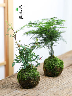 ̦�\��ֲ��Gֲ����t�^���������ˮ���辰�͏d����������С����