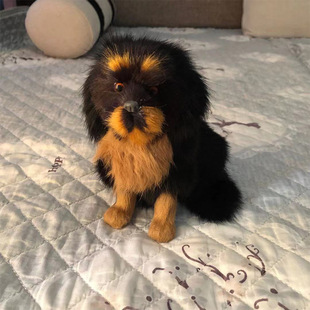����ҾӔ[�O�������zӰ�[���̌Wģ�� ����Ȯ������ģ���b�Ʒ
