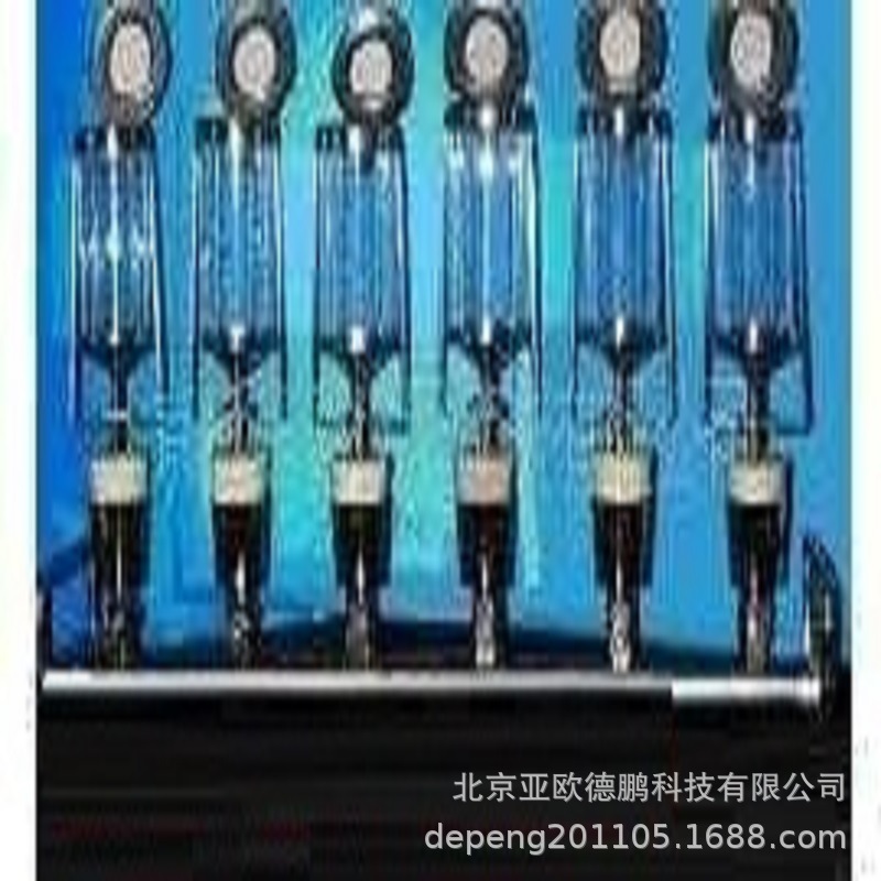亚欧 薄膜过滤器（六联带泵） 六联薄膜过滤器 DP-STV6
