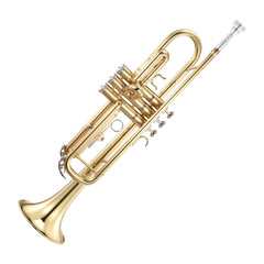 New Bb Trumpet Popular Trumpet Practice Trumpet Case TR400 