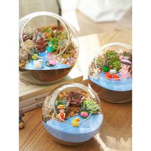 DIY Moss Micro Landscape Kit, Creative Glass Sphere Ecosyste