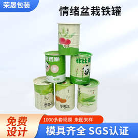 办公室情绪盆栽种子罐头 儿童DIY种植铁罐马口铁猫草罐定制厂家