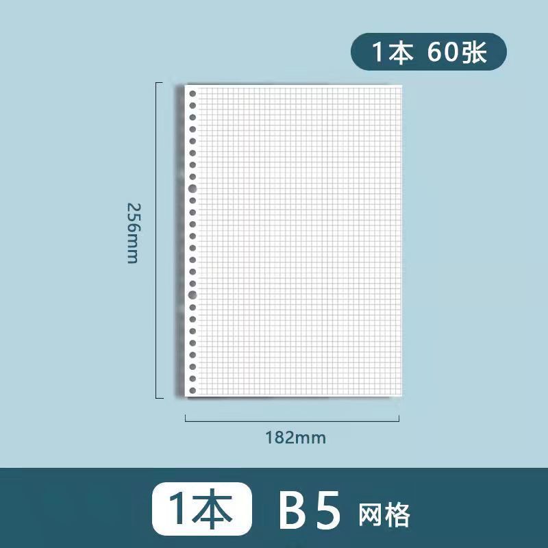 Modelo B5 60 páginas