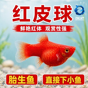 ���N�tƤ��t̫������~С���^�p�~�~��̥���~�Ꭷ�~���ֺ��B�~