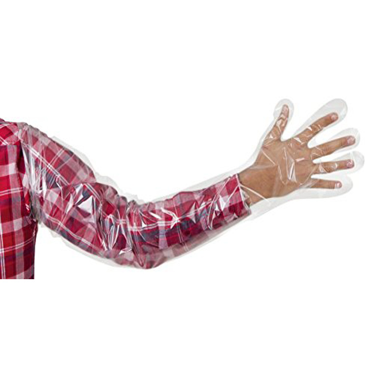 畜牧业养殖场奶牛繁育动物配种手套 一次性塑料长臂手套 am