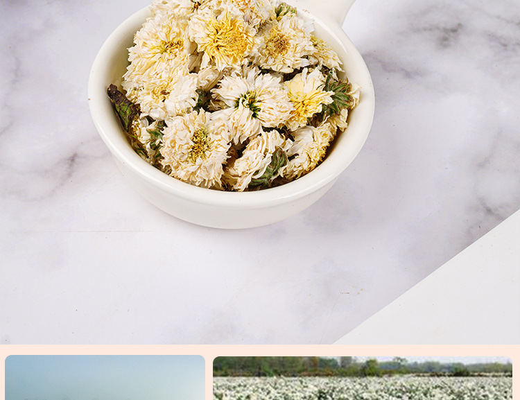 Huangshan Gong Ju (Chrysanthemum morifolium) — Dried Imperial Chrysanthemum Tea, 25g Jar in use