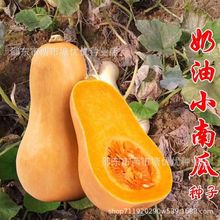 �����ϹϷN�Ӵ����＾�ļ������۱���Ŵ�t���������ó��ϹϷN����