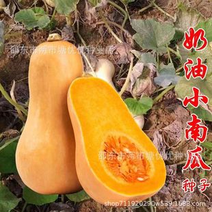 �����ϹϷN�Ӵ����＾�ļ������۱���Ŵ�t���������ó��ϹϷN����
