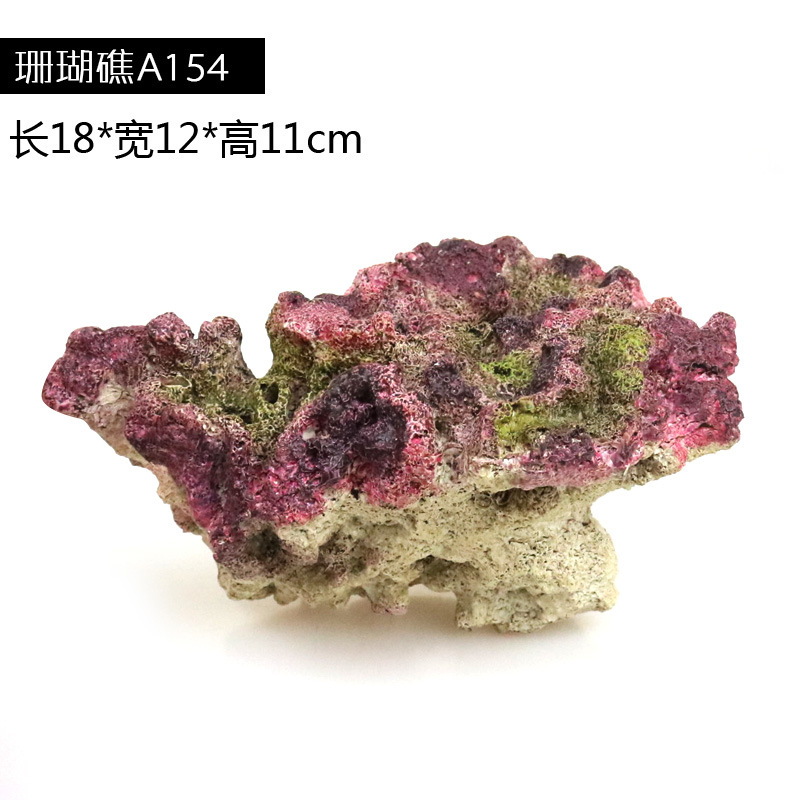 珊瑚154