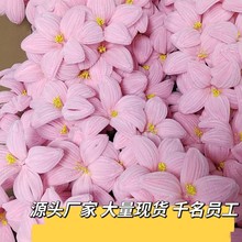 美伢同款花材百合 批发成品扭扭棒礼品年宵花抱抱桶花艺配材