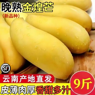 ���������â���râ��10�ﮔ���Ꭷˮ�����xˮ��â�ش�â�����]