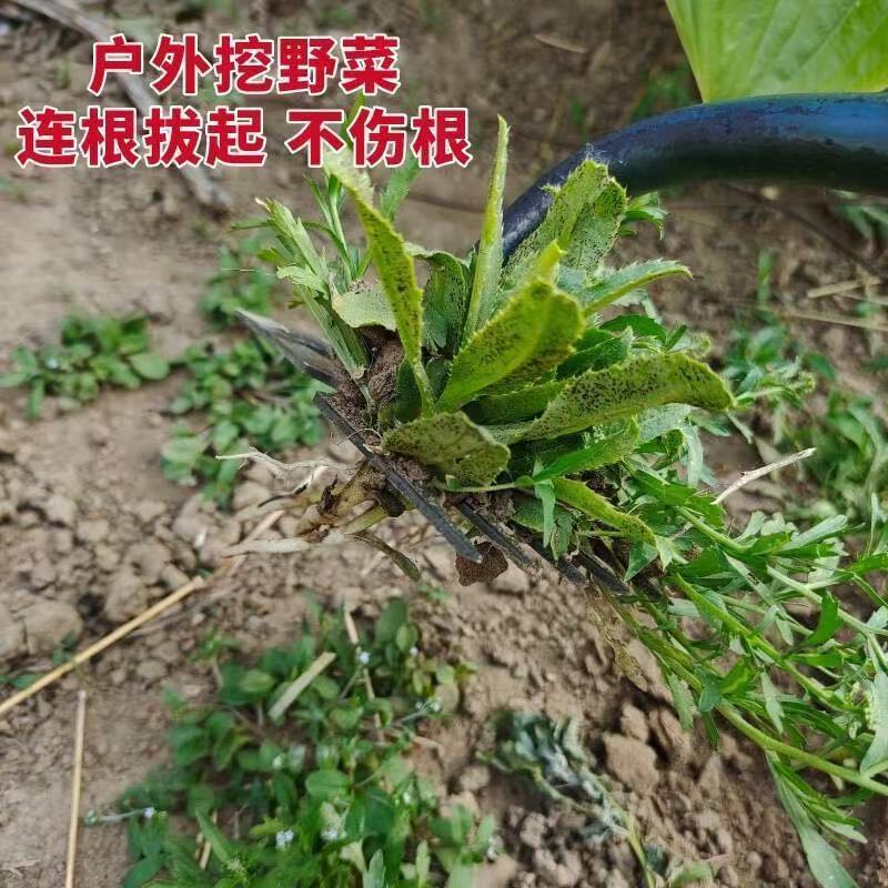j8菜园除草野菜新款挖拔草铲新客耙子松土园艺立减连根工具g3