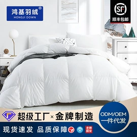 羽绒被;羽毛、羽绒;功能枕