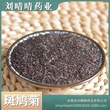 中药材批发 斑鸠菊 无硫斑鸠菊 冷背药材 量大价优 可代发