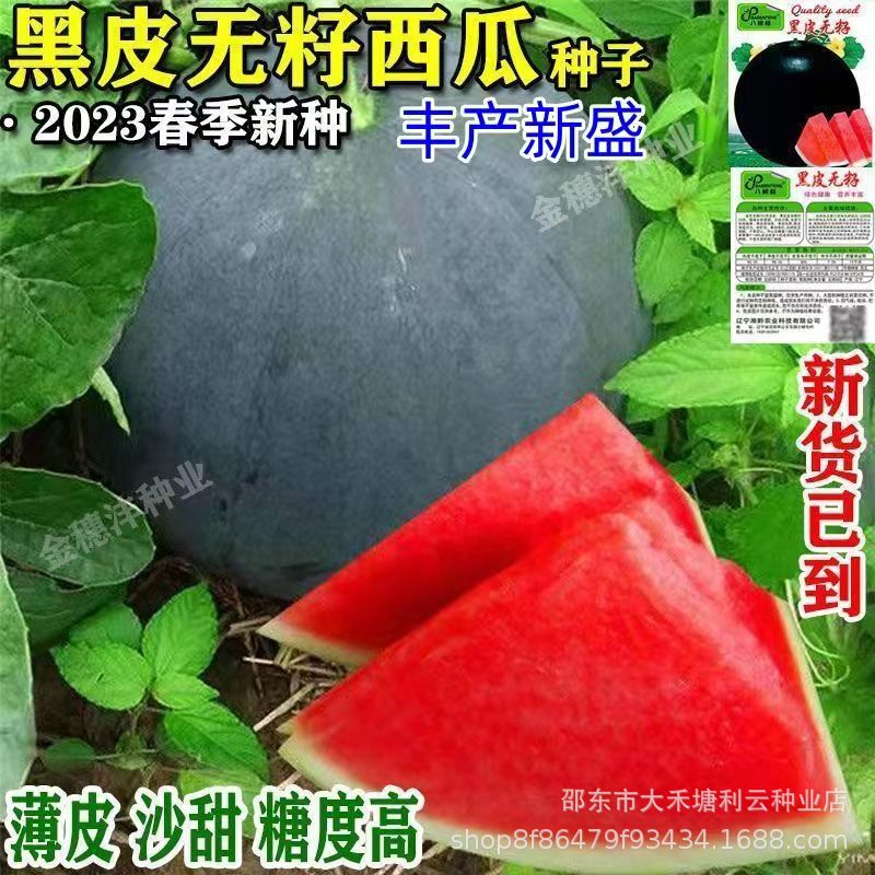 Four Seasons Black-Skinned Seedless Watermelon Seeds, Super Sweet, High-Yielding, Thin-Skinned, Red-Heart, Extra-Large Watermelon Seeds, Vegetable and Fruit Seeds