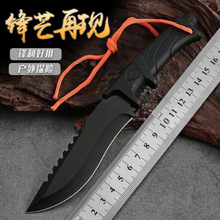 高硬度小刀不锈钢直刀户外水果刀登山刀防身便携迷你刀附赠刀套